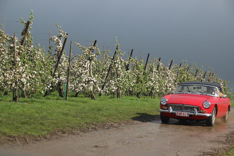 MG Bloesemrit op 24-4-2016 org. Jos&Marie-lou  (298).JPG